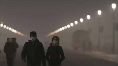 Delhi NCR Pollution, GRAP 4 Delhi, Delhi AQI 428, CAQM GRAP Rules, Delhi Air Pollution News, Construction Ban Delhi, NCR Pollution Update