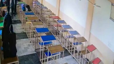 Punjab Law College Shooting, Tarn Taran College Firing News, Student Shoots Classmate Punjab, CCTV Footage College Shooting, Sandeep Kaur Murder Case, Prince Raj Shooting Incident, Punjab Crime News Hindi, College Security Failure Punjab