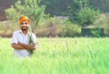 UP News, योगी सरकार कृषि योजना, कम लागत अधिक उत्पादन मॉडल, यूपी सोलर पंप योजना, खेत तालाब योजना कानपुर, गोरखपुर स्वीट कॉर्न सब्सिडी