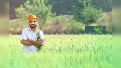 UP News, योगी सरकार कृषि योजना, कम लागत अधिक उत्पादन मॉडल, यूपी सोलर पंप योजना, खेत तालाब योजना कानपुर, गोरखपुर स्वीट कॉर्न सब्सिडी