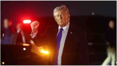 Trump on Strait of Hormuz, होर्मुज जलडमरूमध्य सुरक्षा, US Iran tension, global shipping security, warships in Strait of Hormuz