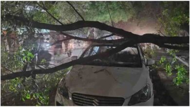 यूपी मौसम अपडेट, लखनऊ आंधी बारिश, UP storm rain news, Lucknow weather today, ओलावृष्टि खबर, tree fall Lucknow, weather alert UP, western disturbance India