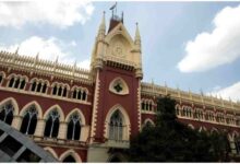 Calcutta, High Court, Bakrid, Animal Slaughter