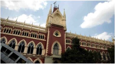 Calcutta, High Court, Bakrid, Animal Slaughter