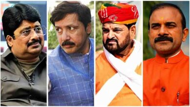 UP Gun Culture News , यूपी गन कल्चर, इलाहाबाद हाईकोर्ट, राजा भैया, बृजभूषण शरण सिंह, शस्त्र लाइसेंस यूपी, बाहुबली नेताओं की जांच, यूपी हथियार लाइसेंस, हाईकोर्ट सख्त, सरकारी सुरक्षा जांच