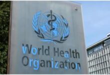 Hantavirus Outbreak, WHO Hantavirus Statement, COVID-19 Comparison, Cruise Ship Virus Outbreak, Hantavirus News, WHO Latest Update, Global Health Alert