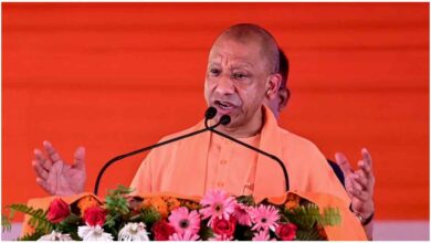 UP Cabinet Decision, Yogi Cabinet, UP Roadways, Free Bus Travel, Women Free Travel, Yogi Adityanath, Electric Buses, Jhansi Link Expressway, Ganga Expressway, Uttar Pradesh News, यूपी कैबिनेट, योगी कैबिनेट फैसला, 60 साल की महिलाओं को मुफ्त यात्रा, यूपी रोडवेज मुफ्त यात्रा, बुजुर्ग महिलाओं के लिए मुफ्त बस यात्रा, योगी सरकार, 250 इलेक्ट्रिक बसें, झांसी लिंक एक्सप्रेसवे, गंगा एक्सप्रेसवे हरिद्वार, सुल्तानपुर औद्योगिक क्लस्टर, उत्तर प्रदेश कैबिनेट