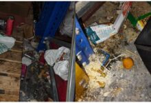 Zepto warehouse sealed, Zepto warehouse sealed, Zepto warehouse Bengaluru, Zepto warehouse Hoskote, Zepto पर कार्रवाई, Zepto वेयरहाउस सील, बेंगलुरु खाद्य सुरक्षा विभाग, Zepto food safety, Zepto food safety violation, Zepto Hoskote warehouse, Zepto food labelling violation, Zepto misbranding case, खाद्य सुरक्षा नियम उल्लंघन, बेंगलुरु फूड सेफ्टी रेड, Karnataka Food Safety Department, FSSAI action on Zepto, Zepto latest news, Zepto, Zepto News, Zepto Warehouse, Zepto Bengaluru, Hoskote, Bengaluru News, Karnataka News, Food Safety, FSSAI, Food Safety Department, Zepto Food Safety, Quick Commerce, Food Safety Violation