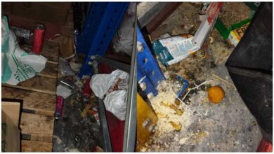 Zepto warehouse sealed, Zepto warehouse sealed, Zepto warehouse Bengaluru, Zepto warehouse Hoskote, Zepto पर कार्रवाई, Zepto वेयरहाउस सील, बेंगलुरु खाद्य सुरक्षा विभाग, Zepto food safety, Zepto food safety violation, Zepto Hoskote warehouse, Zepto food labelling violation, Zepto misbranding case, खाद्य सुरक्षा नियम उल्लंघन, बेंगलुरु फूड सेफ्टी रेड, Karnataka Food Safety Department, FSSAI action on Zepto, Zepto latest news, Zepto, Zepto News, Zepto Warehouse, Zepto Bengaluru, Hoskote, Bengaluru News, Karnataka News, Food Safety, FSSAI, Food Safety Department, Zepto Food Safety, Quick Commerce, Food Safety Violation